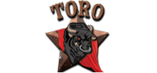 toroicon 1